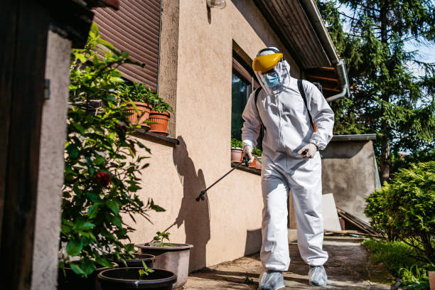 Best Rat Extermination Near Me  in Candor, NC