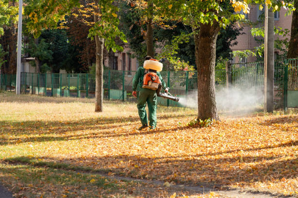 Candor, NC Pest Control Company
